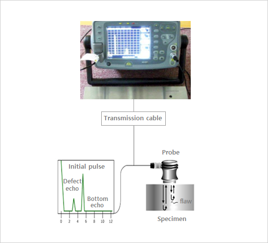 Principle and inspection method